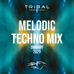 Melodic Techno Mix [January 2025]