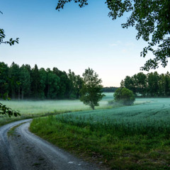 Guidad Breathwork på Svenska
