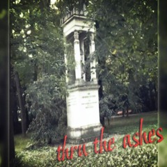 Ashes (recyclebin, 1brknglss)