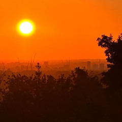 Pelko - It will be ok