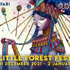 Havokk - Little Forest Festival 2 January (4 - 6am)
