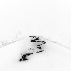 FE Bob Moses, Monolink, Rufus