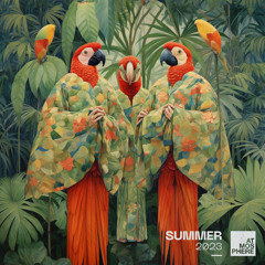 PREMIERE: SouveQ - The Tokio Affair (Original Mix) [Atmosphere Records]