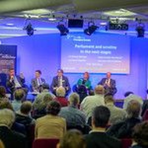 Stream Parliament and scrutiny in the next stages by UK in a Changing Europe Listen online for