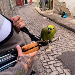 BERIMBAU DE TRAFICANTE ☯️-  MC B7 , MC 7BELO & MC KITINHO  ( DJ PARAVANI DZ7 & DJ GH7 )