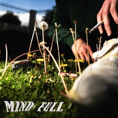 Mind Full