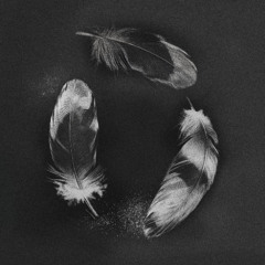 SLANDER & NGHTMRE - Free ft. Zohara