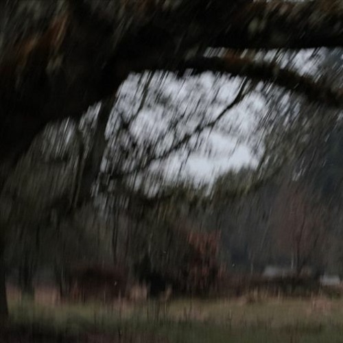 left without [album]