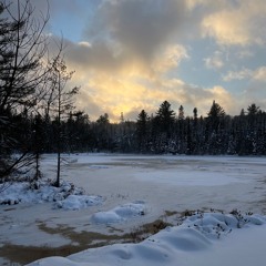 Algonquin December'24