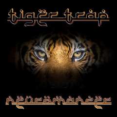 Neuromancer - Tiger Trap [Desi Trap]