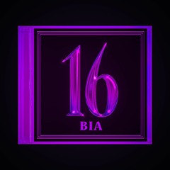 BIA - SIXTEEN (S P E D U P)