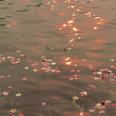 My sea_Re-sea-ve (Girls Planet 999)