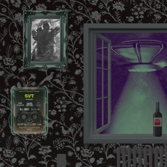 SVT at Picture & Pint - 29th Nov 25