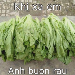 Em Đau Rồi Đấy - Hdung x truongnguyen remix
