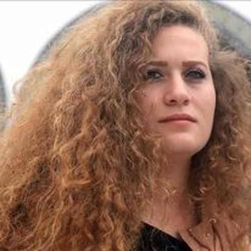 TANGRAM - 1 live and lett live