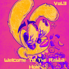 Welcome To The Rabbit Hole Vol.3