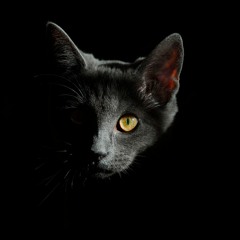Feeling Hot (Original Mix)