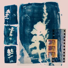 Cyanotype!