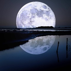 To The Moon