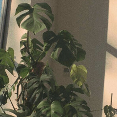 fall in l0V3 prod. Monte Booker