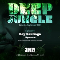 Deep Jungle - 3 hour DJ Set - Sept.  16th @ Jungly, NYC.