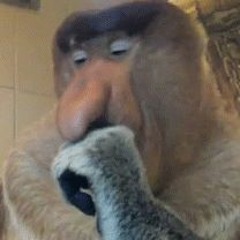 Current Joys - New Flesh (Slowed Best Version + Extra Reverb)