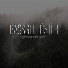 BASSGEFLÜSTER | Aggressionsproblem X BAGESTAGE