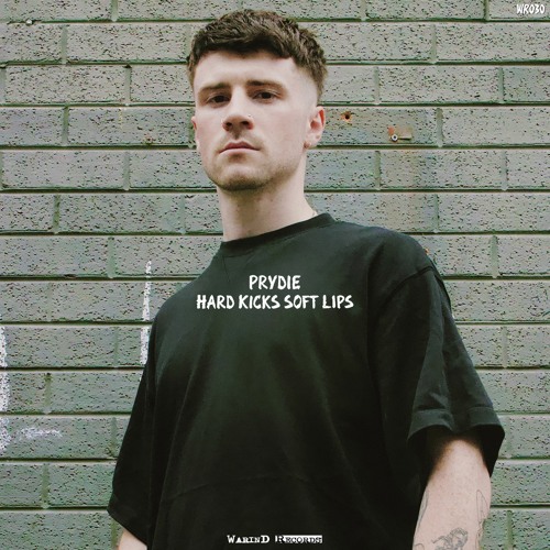 Premiere: PRYDIE - Running Through Madness [WR030]