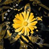 • Crescent Textures #123 • Adelia DJ mix artwork - Electronic music tracklist cover image