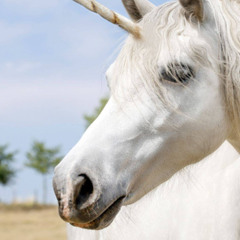 The Creature Never Was