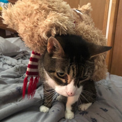 red dot (ft. opioid platinum)