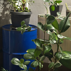 poetronika live (rehearsal at studio)