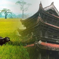 THAI BINH MO HOI ROI - MIN RM