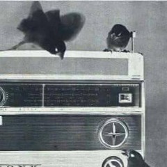 birdscape