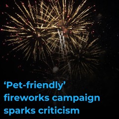RSPCA Fireworks Campaign - Madelaine Dowds (aired 4th November 2024)