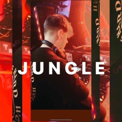 Jungle Selections Vol.1
