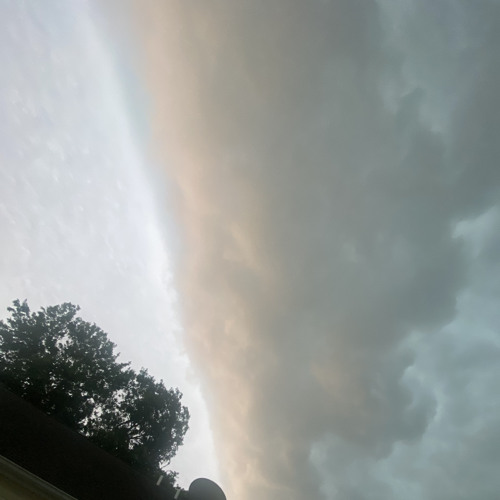 just shut up for once