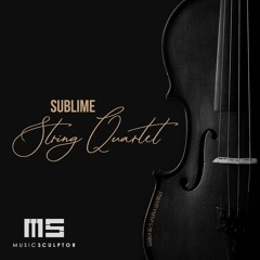 Music Sculptor - Sublime String Quartet