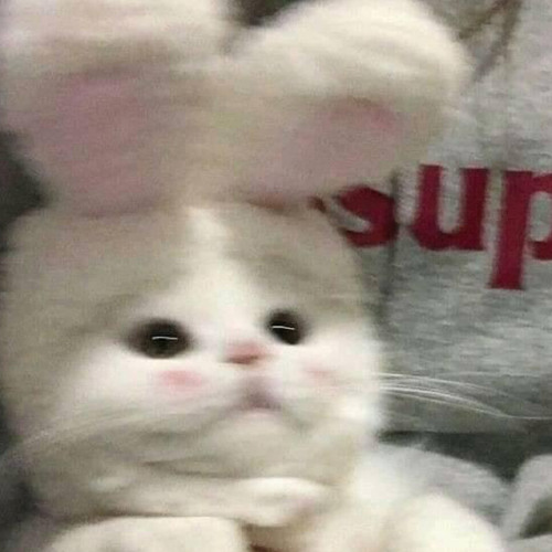 Boom Remix TikTok Dj AM Mix