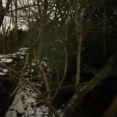 acid rain xp