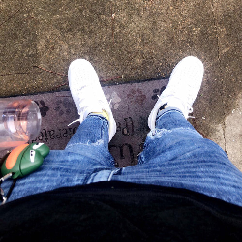 No Credentials (Prod. Wakeupgavin)