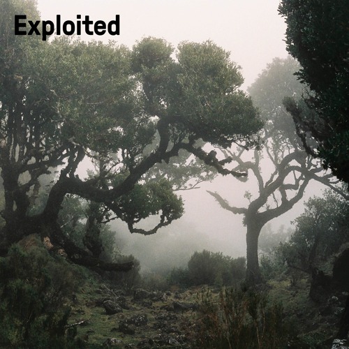PREMIERE – NEAT – WAAAAW! (Exploited)