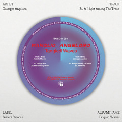 PREMIERE: B1. Giuseppe Angeloro - A Night Among The Trees (Bosco054)