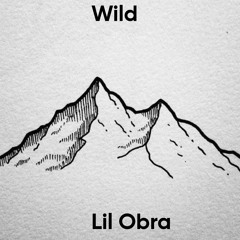 Lil Tecca Type Beat - "Wild" | Melodic Trap Beat |