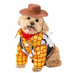 Dogeh