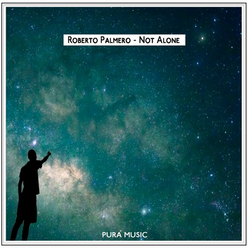 Roberto Palmerto - Not Alone
