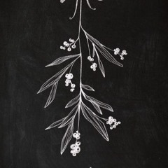 MISTLETOE