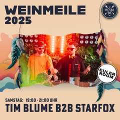 EULERROOM @ Weinmeile 2025, Naumburg