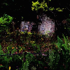 Ryan Best Got the feeling (Original Mix)