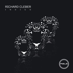 Richard Cleber - Indigo (Original Mix)